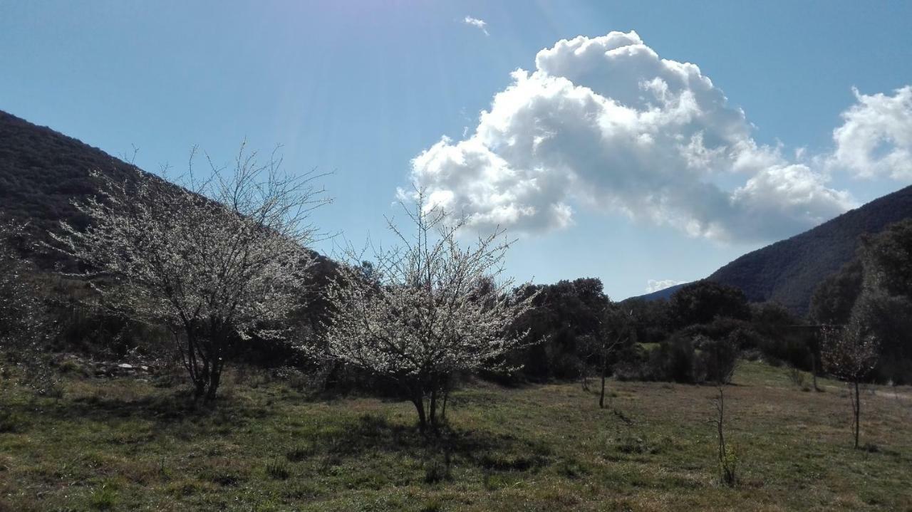 Masia De Vallforners Tagamanent Exterior foto